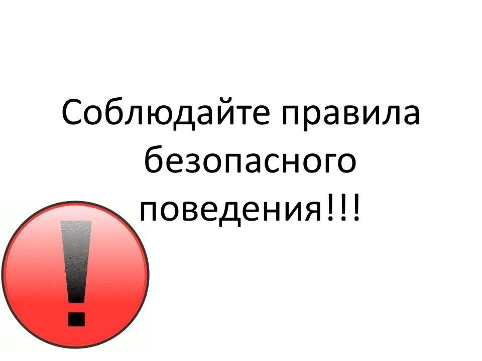 Основы безопасности на водных объектах.